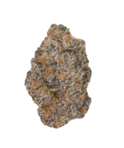 THCP Apple Fritter