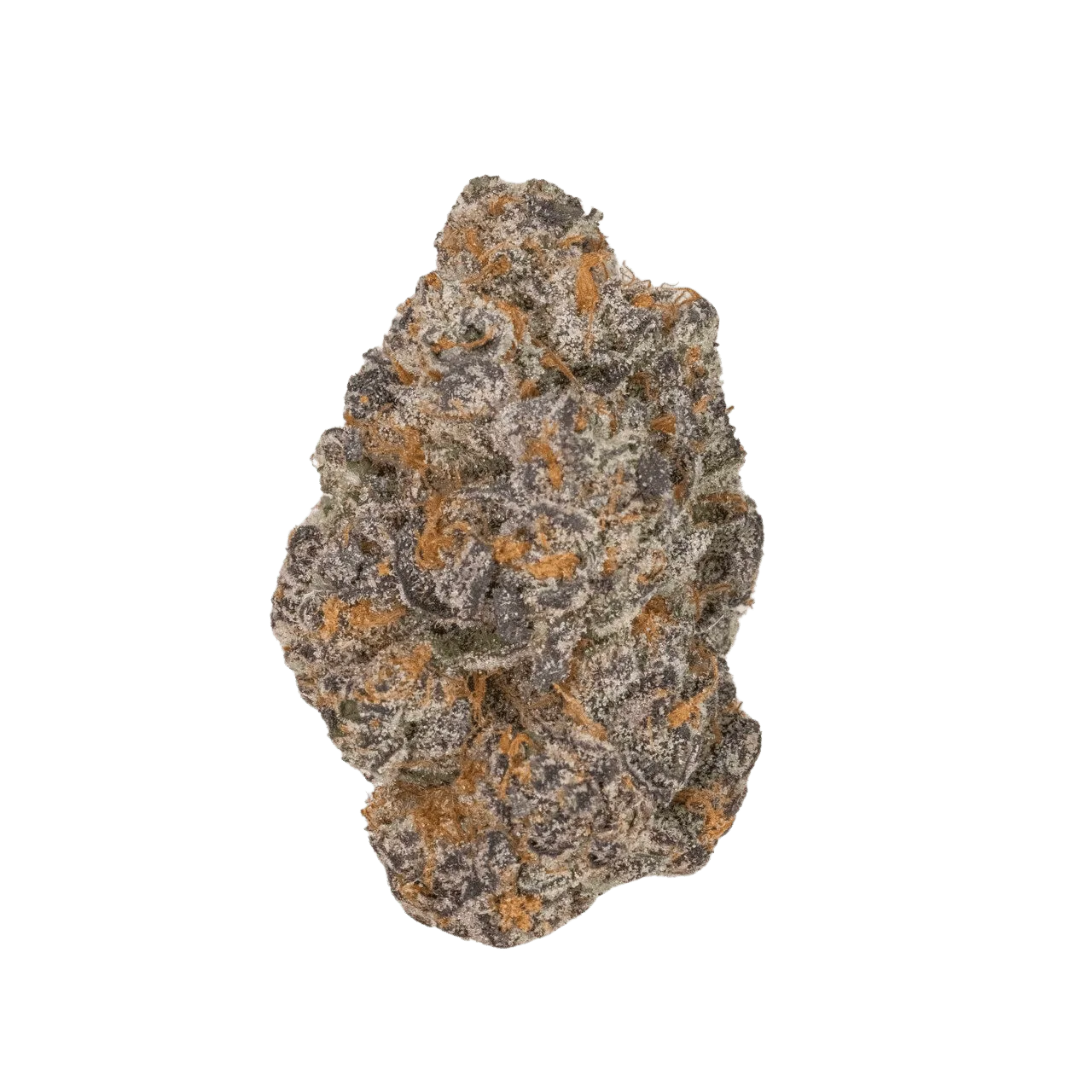 THCP Apple Fritter