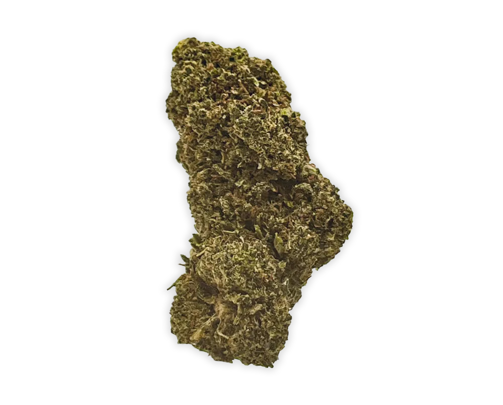 THCP Biscotti