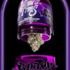 Buy black magic wizard trees